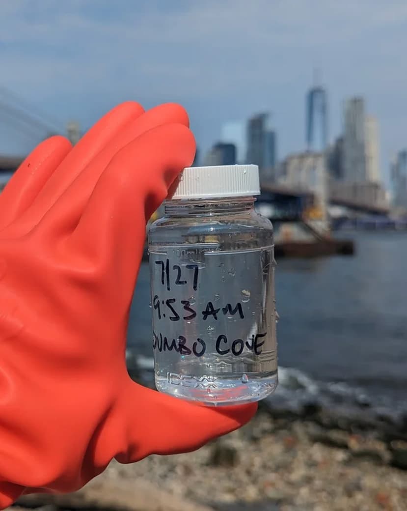New York Harbor